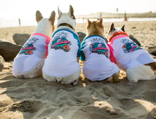 Help Animals in Need with a Team Cherie T-Shirt!